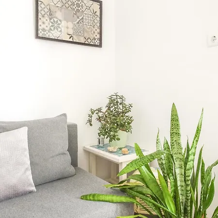 Quinta De Appartement